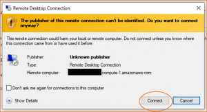 Amazon EC2 Windows Instances 3