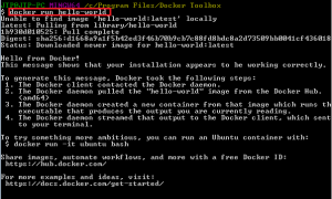 Docker Installation on Ubuntu and Windows 6